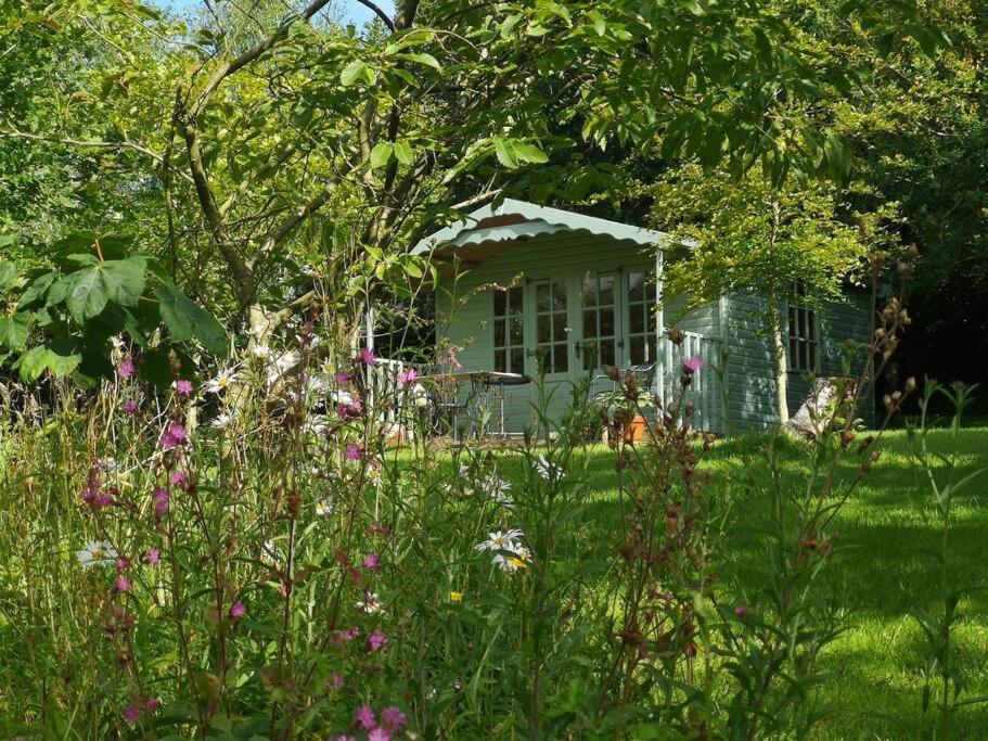 Red Squirrel Holiday Home In The Countryside, 10 Mins To Lligwy Beach Llandyfrydog Exterior foto